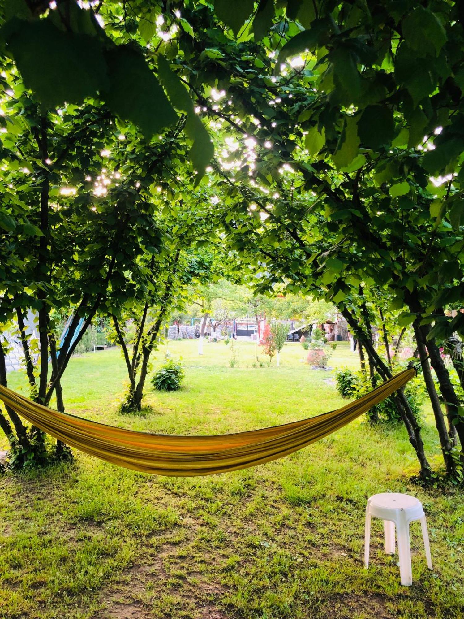Dreamland Lagodekhi & Wine Cellar المظهر الخارجي الصورة
